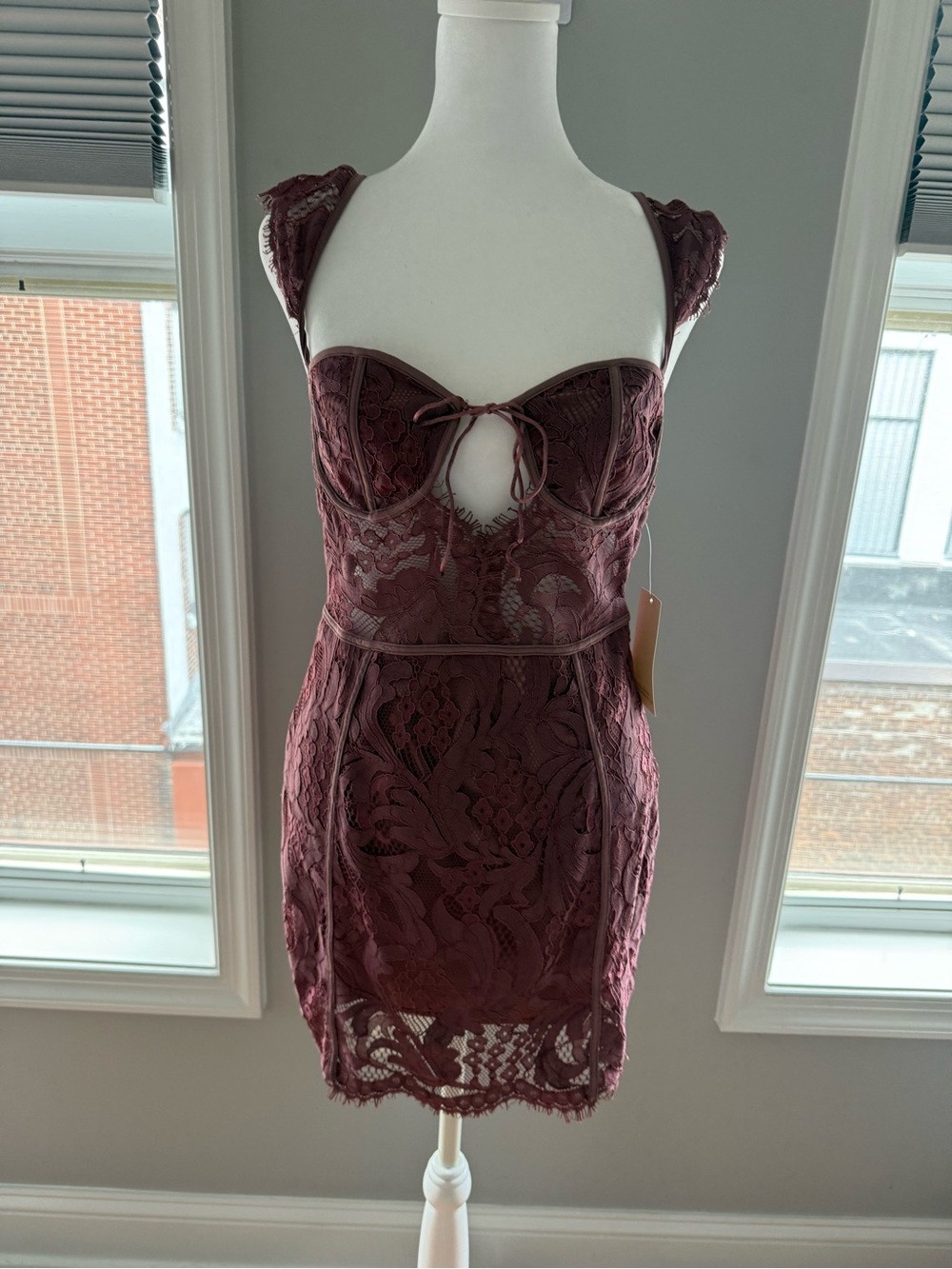 Tobi Wine Lace Bustier Mini Dress